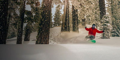 A person snowboarding down a mountain among trees
