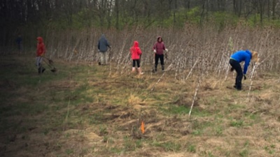 People are seen working during a FLOW restoration