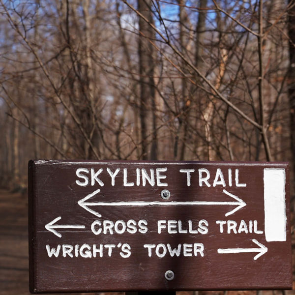 A trail sign of the Skyline Trail