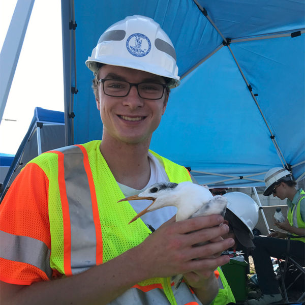 Andrew Rapp assisting Royal Tern banding on the Hampton Roads Bridge Tunnel