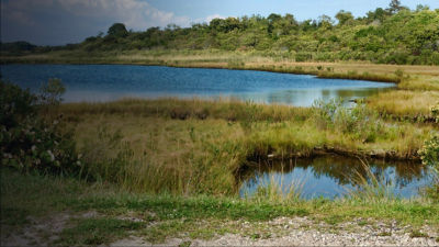 Eastern end of the Paumonok Trail, Big Reed Nature Trail by Little Reed pond in Indian Fields