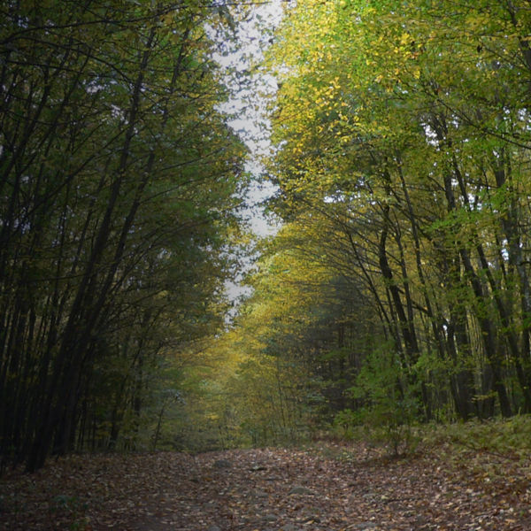 Best Hiking Near Boston: Mount Holyoke Range State Park