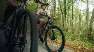 Two mountain bikers on a path