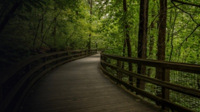 Footbridge along the Monticello Trail in Virginia