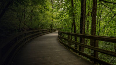 Footbridge along the Monticello Trail in Virginia