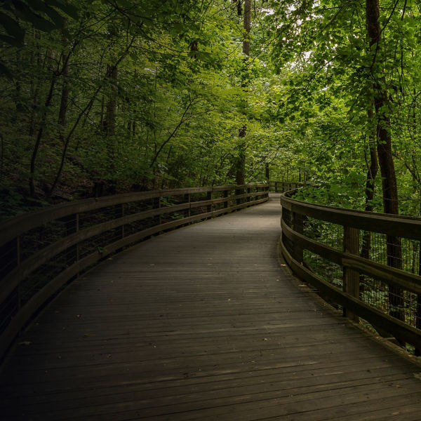 Footbridge along the Monticello Trail in Virginia