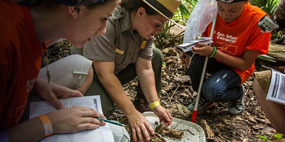 A ranger and students participate in a Bioblitz at Jean Lafitte National Historical Park and Preserve, New Orleans, Louisiana. 