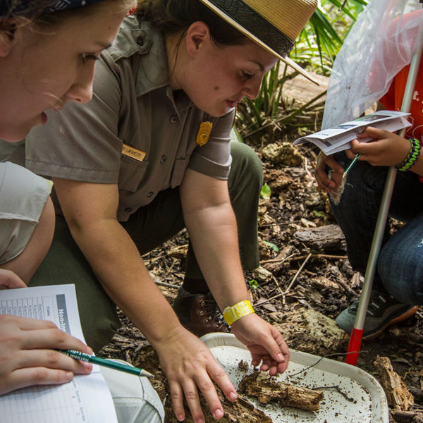 A ranger and students participate in a Bioblitz at Jean Lafitte National Historical Park and Preserve, New Orleans, Louisiana. 