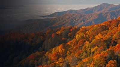 Autumn landscape of the Smoky Mountains in fog, Deep Creek Overlook, Great Smoky Mountains National Park, North Carolina