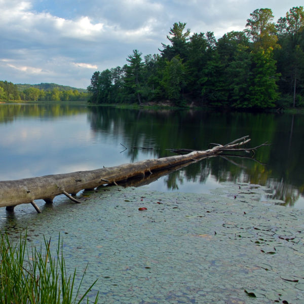 Lake Hope