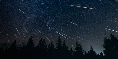 A meteor shower including the Milky Way and a tree line of pine and spruce trees.