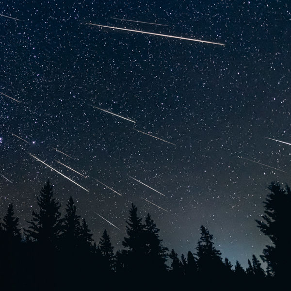A meteor shower including the Milky Way and a tree line of pine and spruce trees.