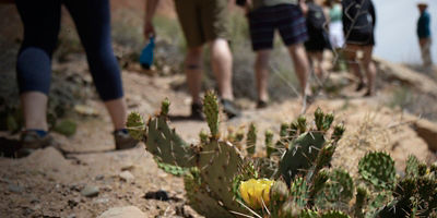 Individuals walk on a guided tour near Kachinas Panel along the San Juan River