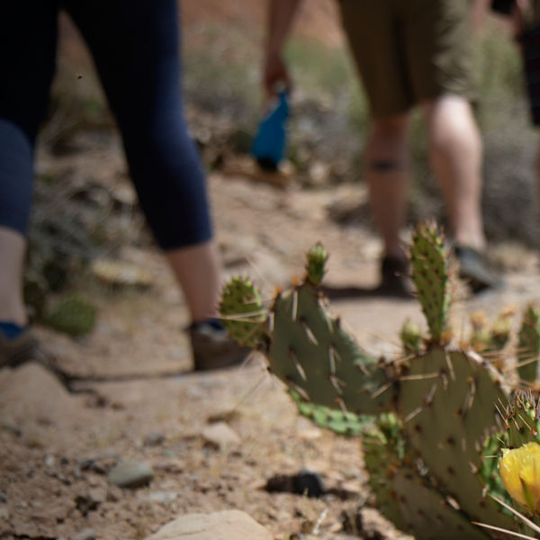 Individuals walk on a guided tour near Kachinas Panel along the San Juan River