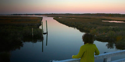 A visitor looks out over Stewart's Canal at Harriet Tubman Underground Railroad National Historical Park