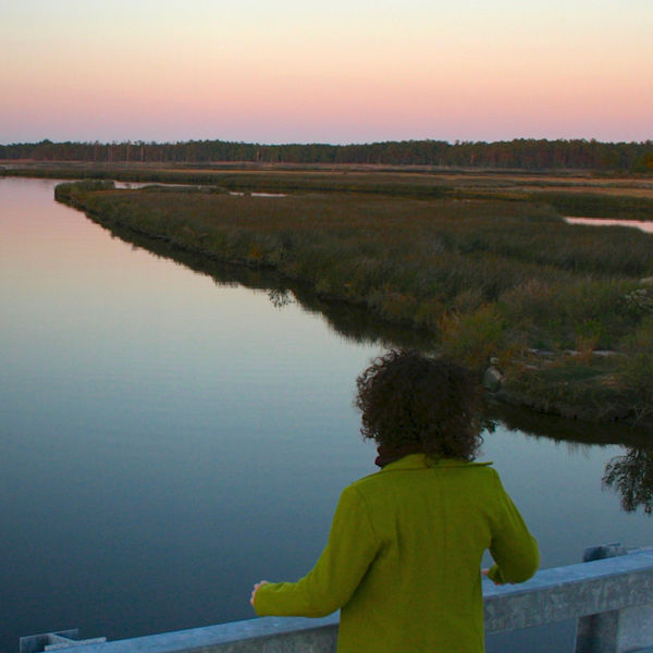 A visitor looks out over Stewart's Canal at Harriet Tubman Underground Railroad National Historical Park