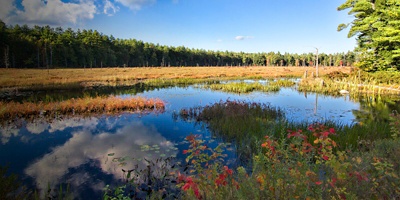 A beautiful wooded marsh in Pawtuckaway State Park with cloud reflections and autumn colors