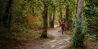 Man on Rivanna Trail along the Rivanna River in Charlottesville, Virginia.