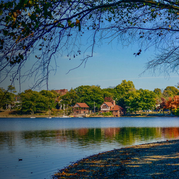 Fall Season in Jamaican Pond