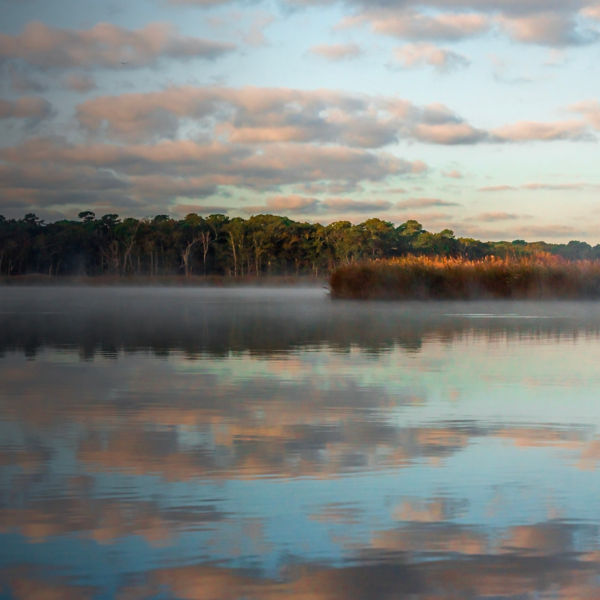 An evening view of the Carmans River in Wertheim National Wildlife Refuge , New York