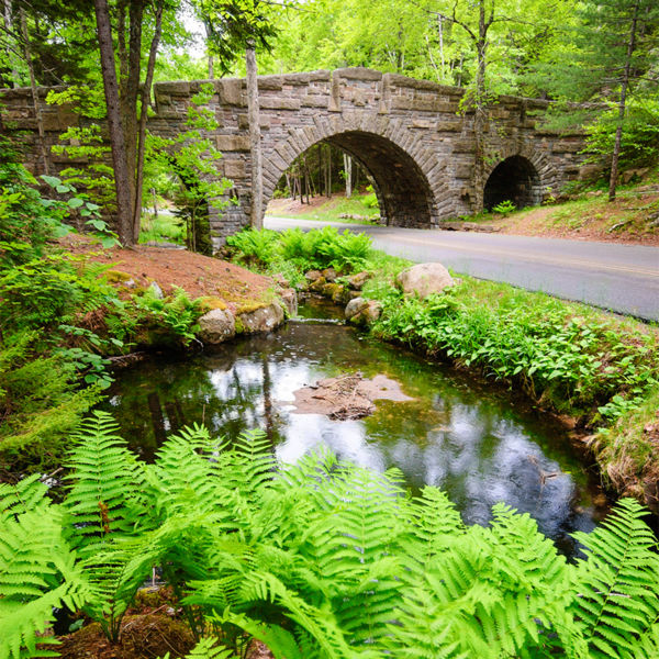 Bridge and Pond at Acadia National Park