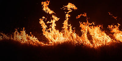 Flames leap as a fire burns 