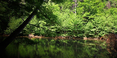 Mohican River in Summer, Mohican State Park, Ohio