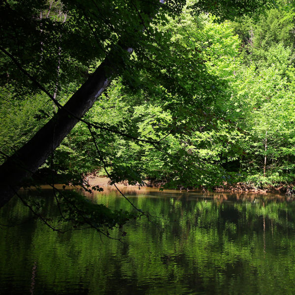 Mohican River in Summer, Mohican State Park, Ohio