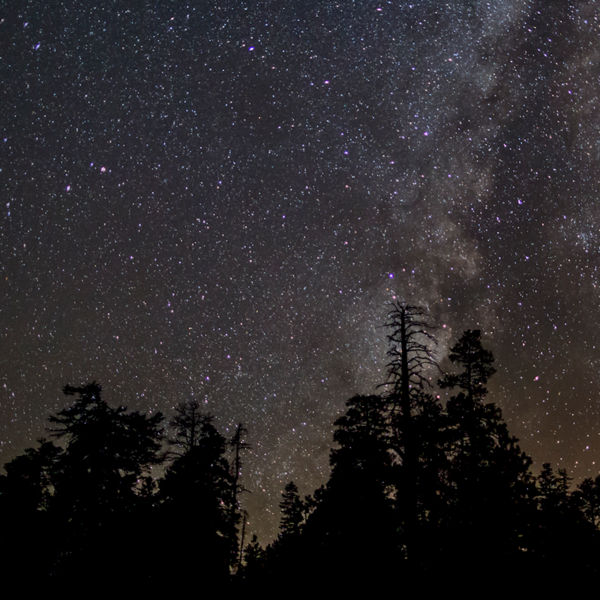 A view of the Grand Canyon's dark skies