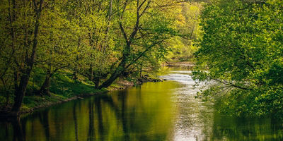 A swimming hole in Ohio