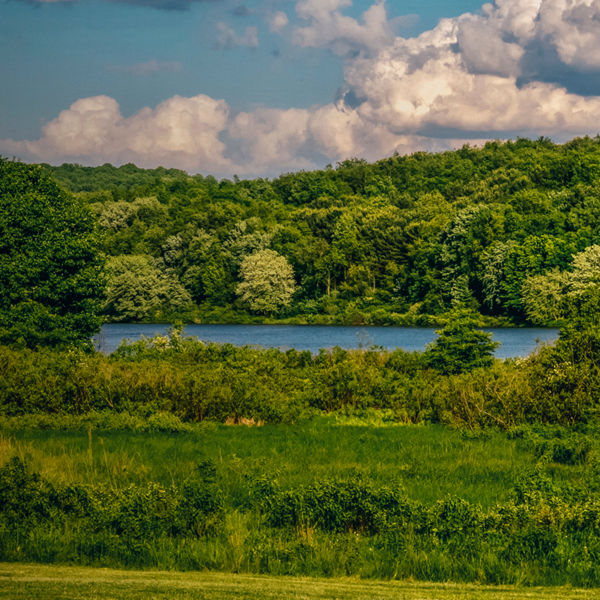 Landscape vista in Moraine State Park, in Southwest Pennsylvania in the evening.  Fields of green with Lake Arthur surrounded by trees and a bright blue cloud filled sky for a background.