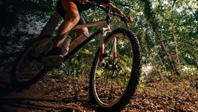 Mountain biker riding on bike in nature