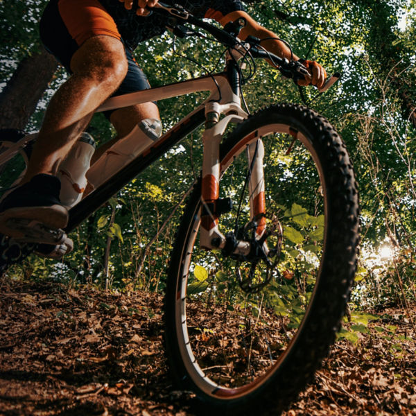 Mountain biker riding on bike in nature