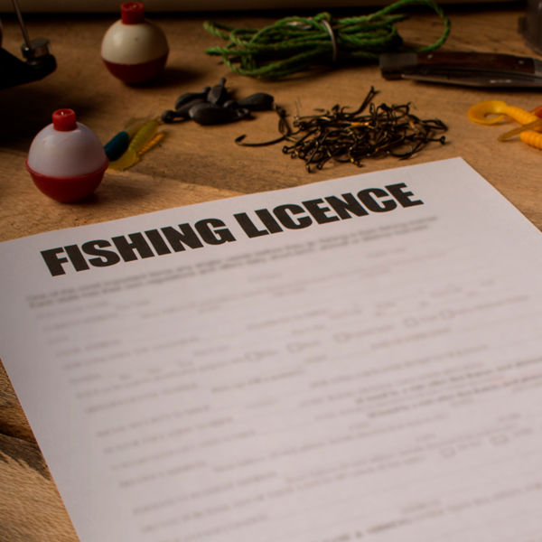 fishing license document
