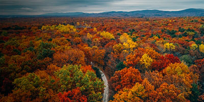 View of a road and autumn color at Big Levels, in George Washington National Forest, Virginia.