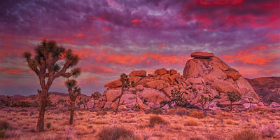 Cap Rock at sunset in Joshua Tree National Park, California