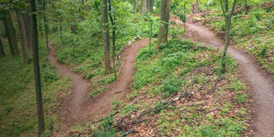 A view of trails in Ragged Mountain Natural Area, Charlottesville, Virginia