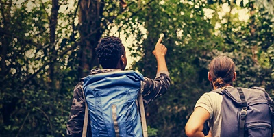 Two men search for birds in the forest