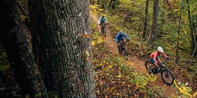 Mountain bikers ride outside Ashville, North Carolina in the Pisgah Forest.