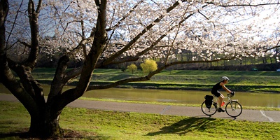 A man rides his bike on the Hockhocking Adena Bikeway