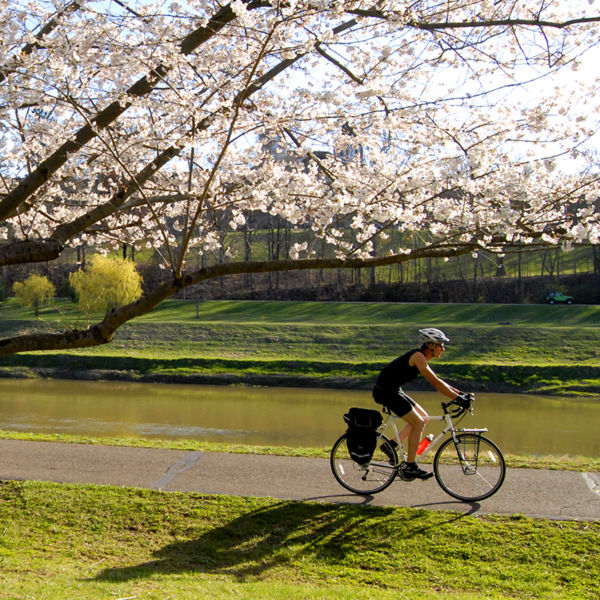 A man rides his bike on the Hockhocking Adena Bikeway