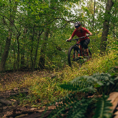 A person rides their mountain bike in North Park