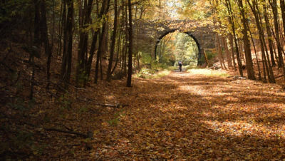 Douglas State Forest, Douglas , Massachusetts