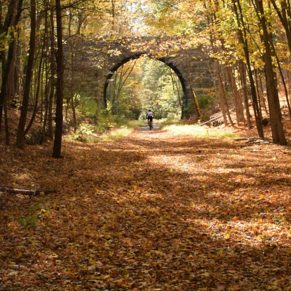 Douglas State Forest, Douglas , Massachusetts