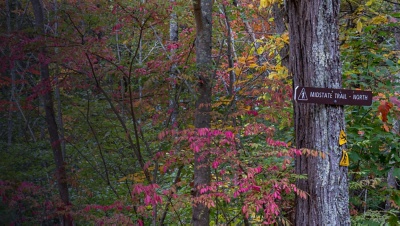 The Midstate trail in Massachusetts