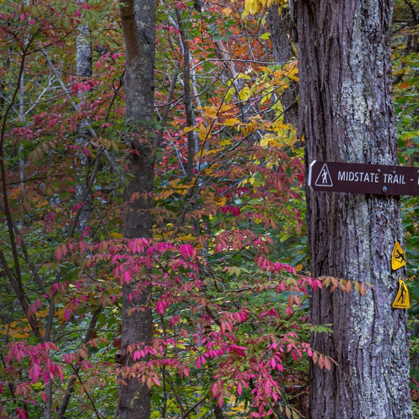 The Midstate trail in Massachusetts