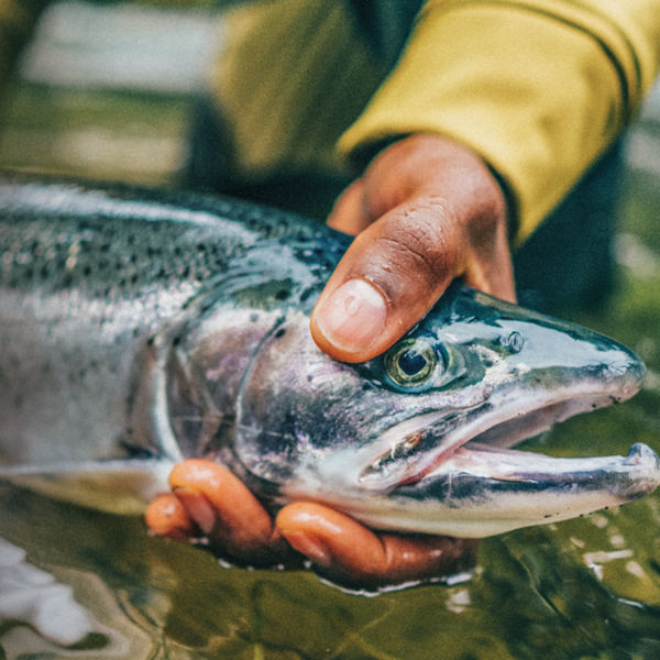A close up of a man holding a trout in a river