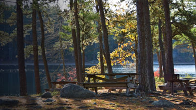 icnic benches at Myles Standish State Forest, Plymouth MA