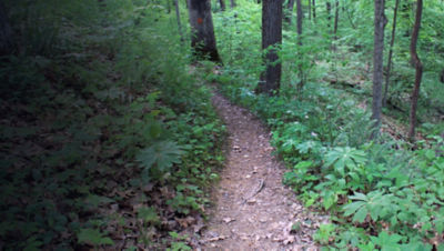 Zaleski State Forest Hike Backpacking Trail