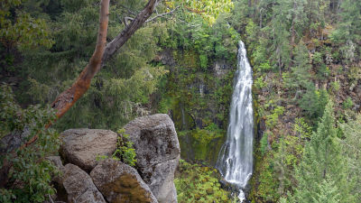 A view above Barr Creek Falls near Prospect, Oregon